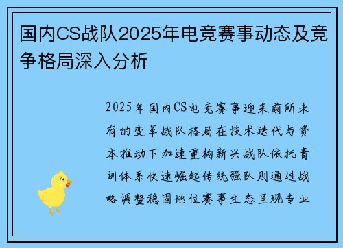 国内CS战队2025年电竞赛事动态及竞争格局深入分析